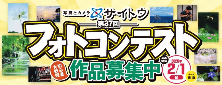 第37回フォトコンテスト
