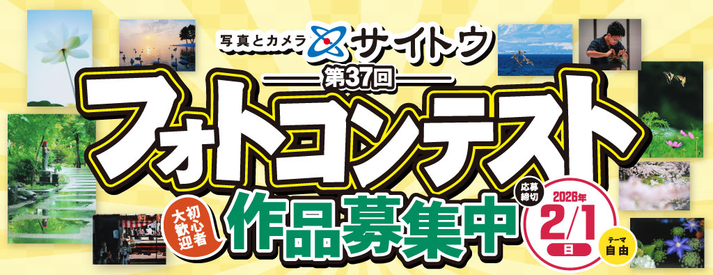 第37回フォトコンテスト